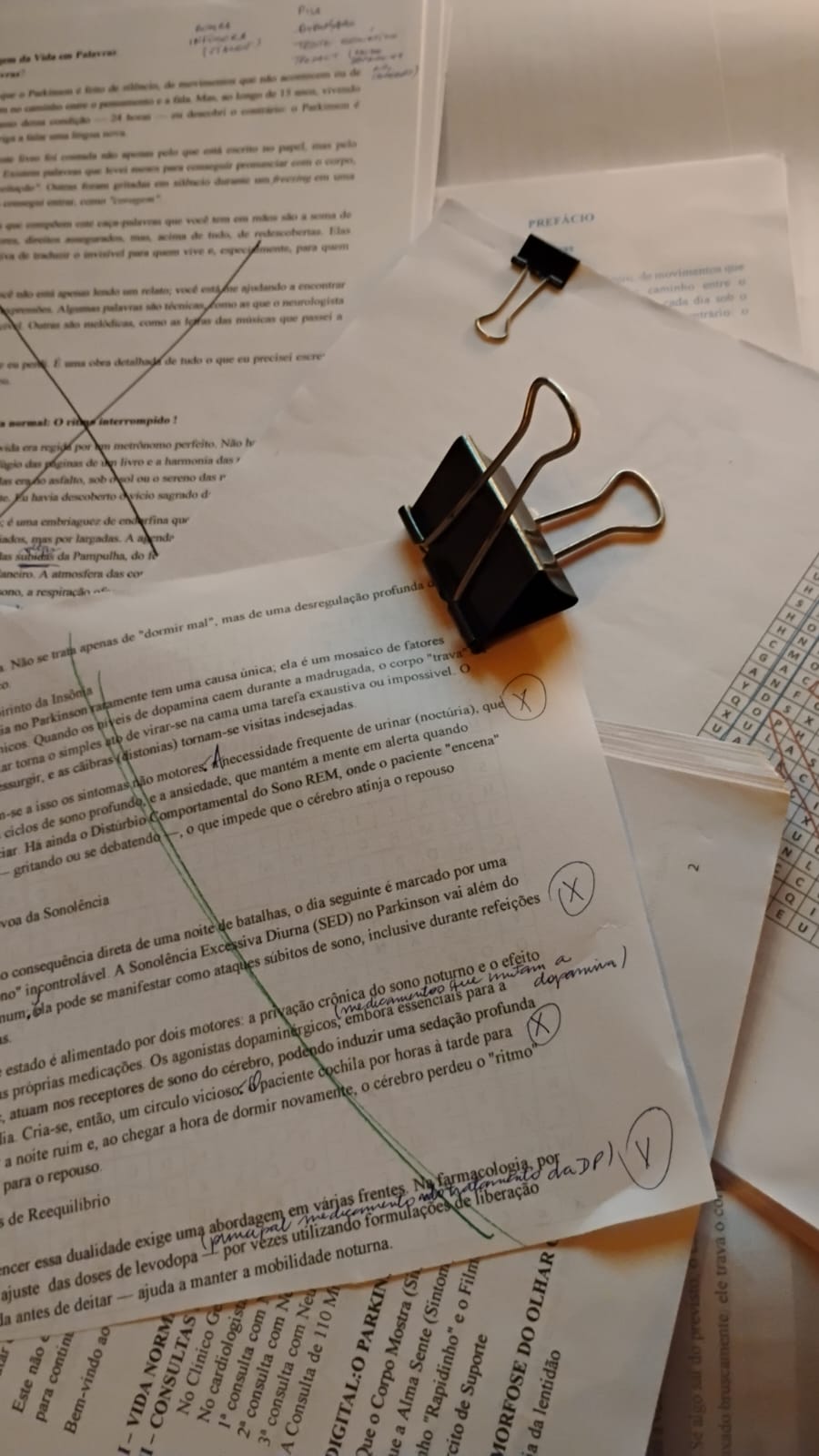 Processo de revisão